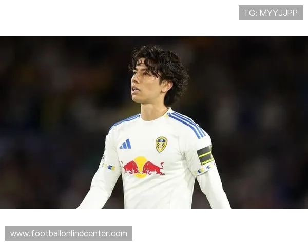 利兹联足球俱乐部宣布新任主帅上任并计划重建球队阵容